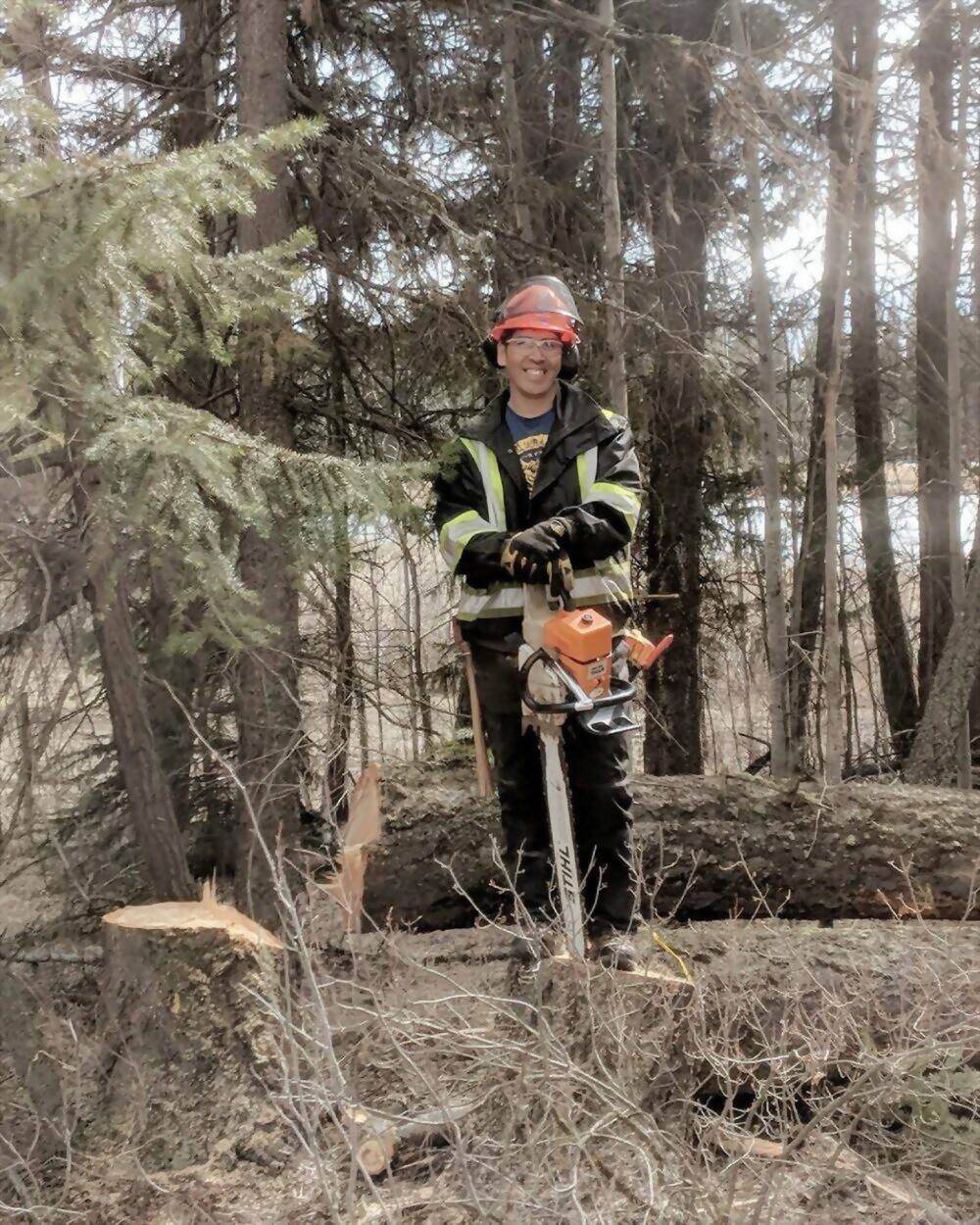 Certified faller in full PPE standing on a felled log with a STIHL saw, fresh stump in the foreground, South Cariboo